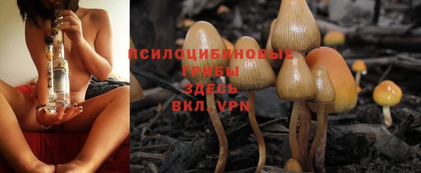 спиды Армянск